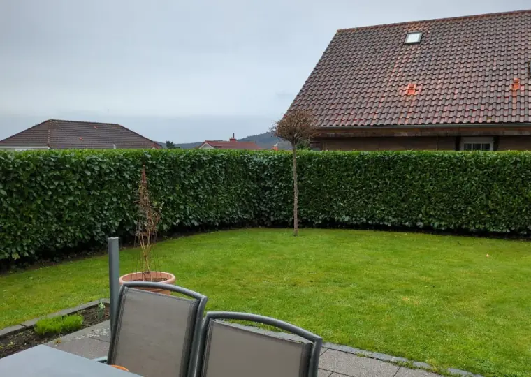 Auf Höhe geschnittene Kirschlorbeerhecke um einen Rasen in Bad Endbach